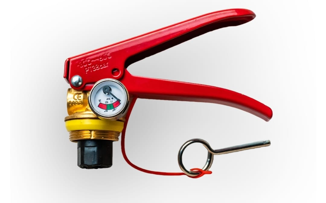 mmeksport1718376743763