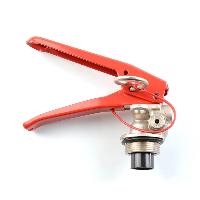 Injap Pemadam Api Serbuk Kering Standard M30 CE dengan Injap Keselamatan